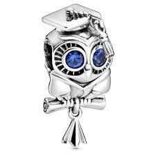 Wise Owl Graduation Charm - 798907C01