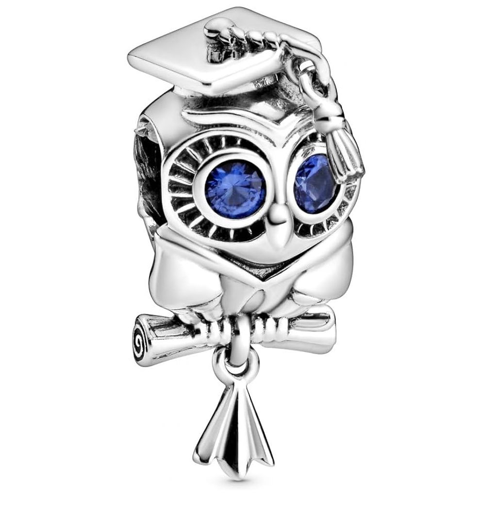 Wise Owl Graduation Charm - 798907C01