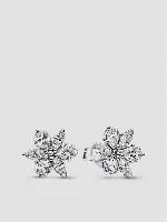 Herbarium Cluster Stud Earrings - 292633C01