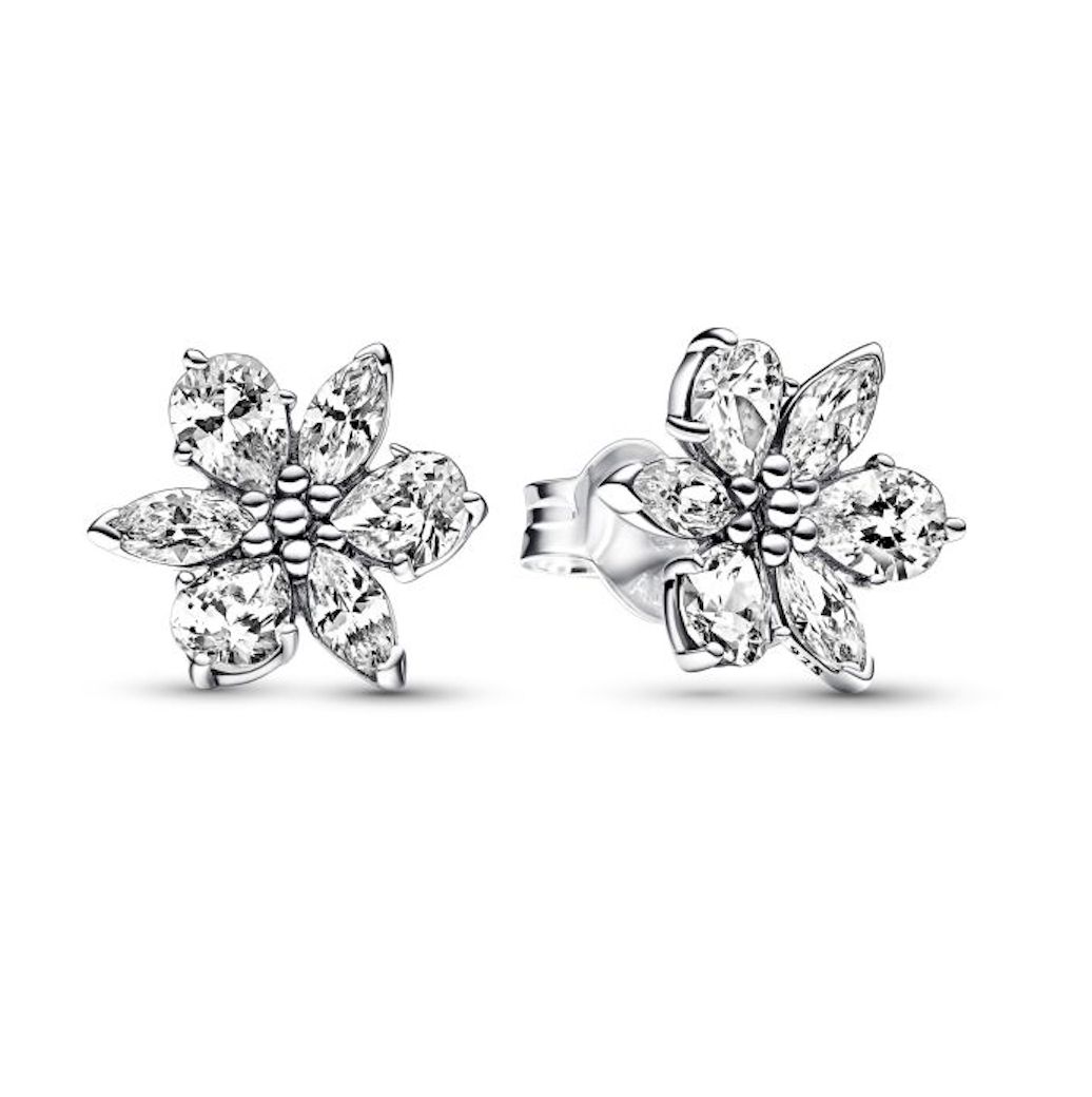 Pandora Herbarium Cluster Stud Earrings - 292633C01