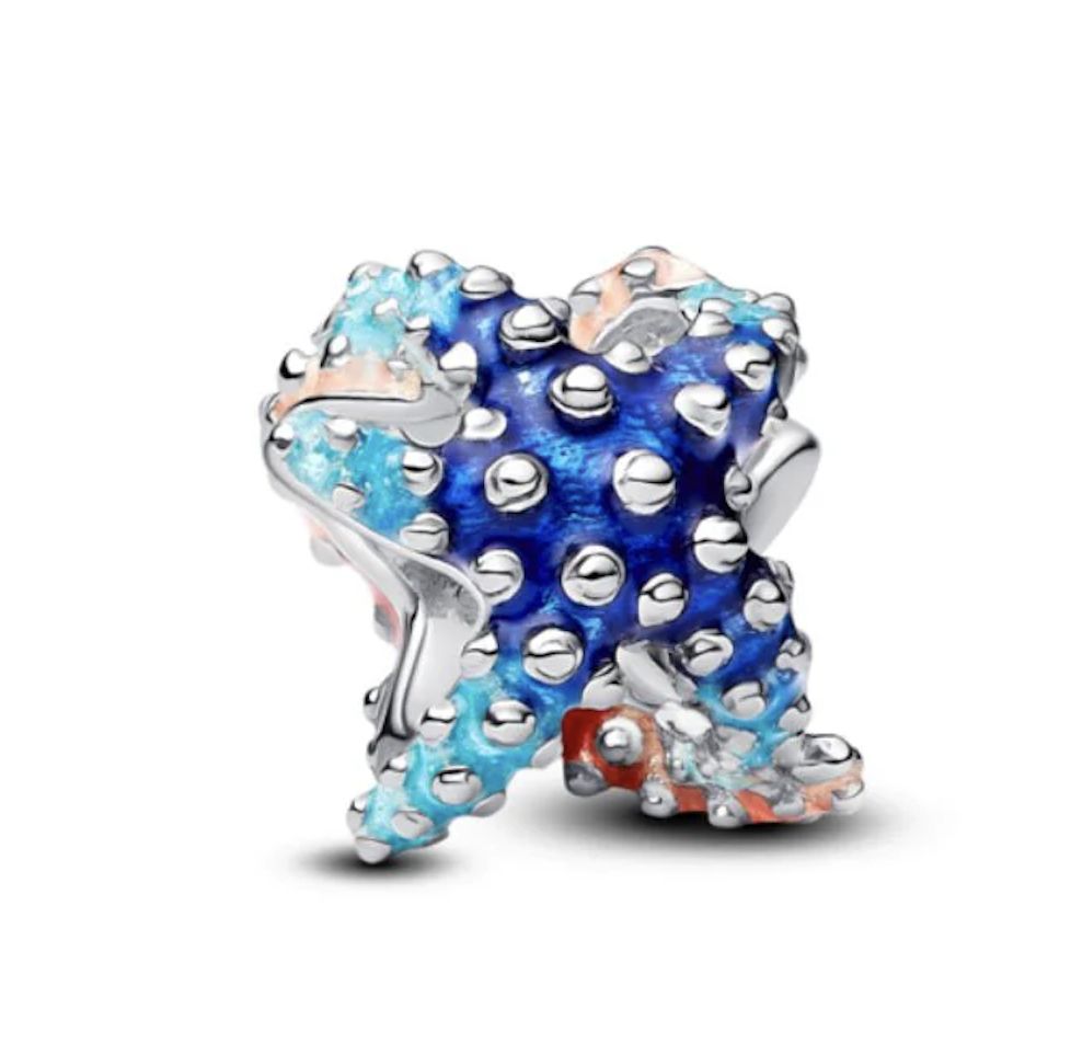 Colourful Starfish Mini Charm - 793817C01
