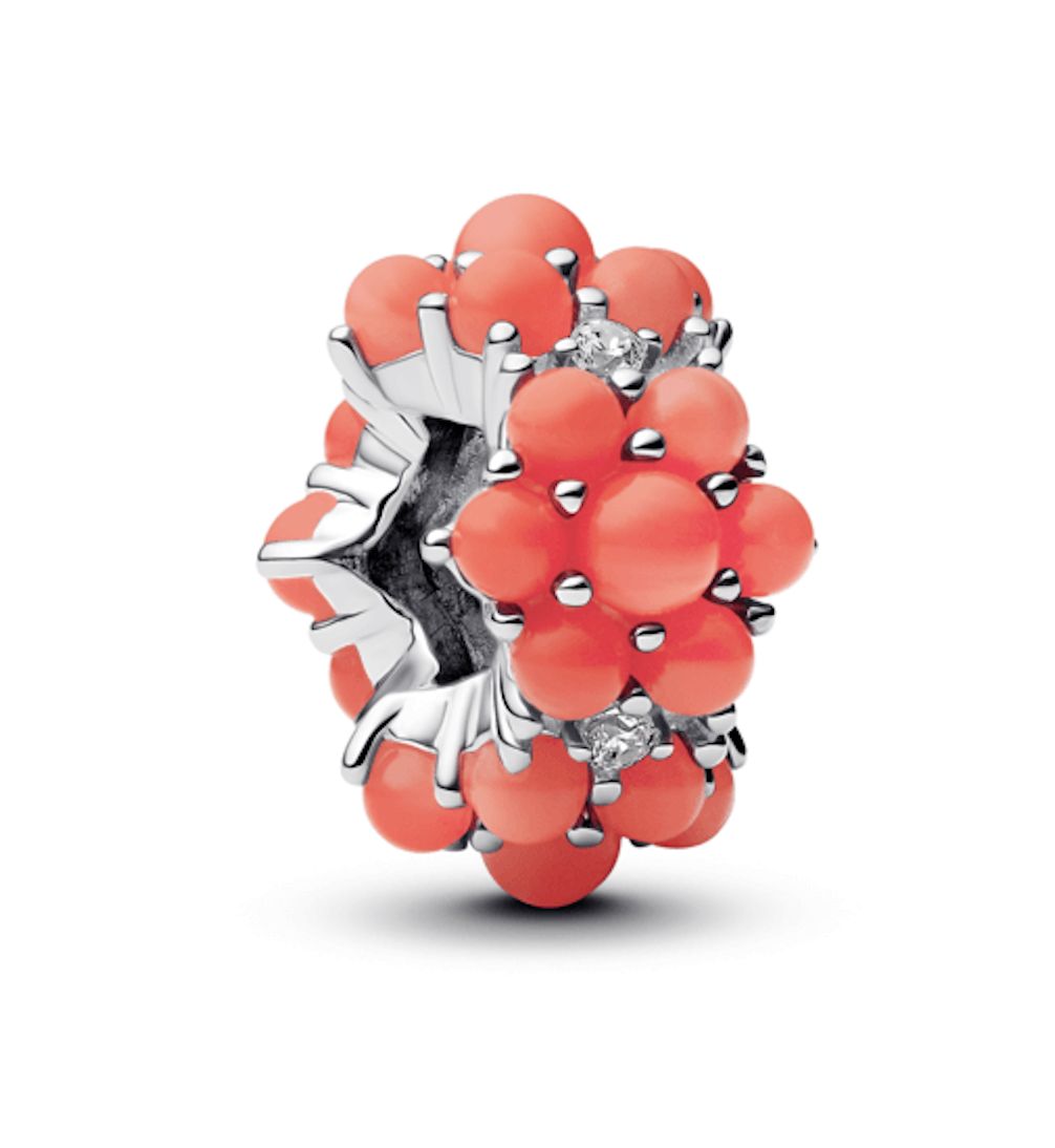 Coral-Coloured Ocean Charm - 793897C01