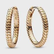 Small Charm Hoop Earrings - 262728C00