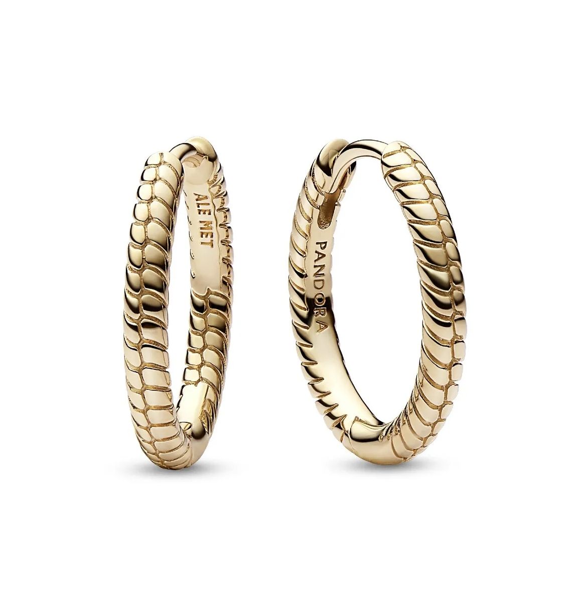 Small Charm Hoop Earrings-262728C00