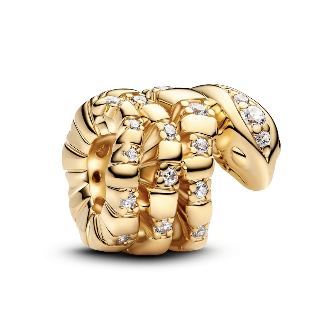 Curled Snake Charm-763618C01