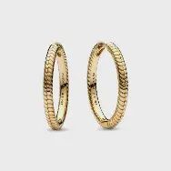 Charm Hoop Earrings - 269532C00