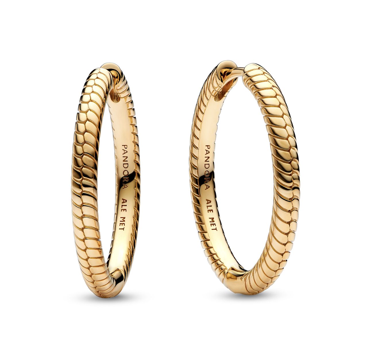 Charm Hoop Earrings-269532C00