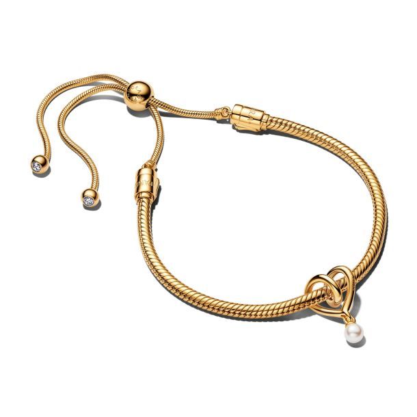 Pandora Golden Heart Bracelet Gift Set- B802656