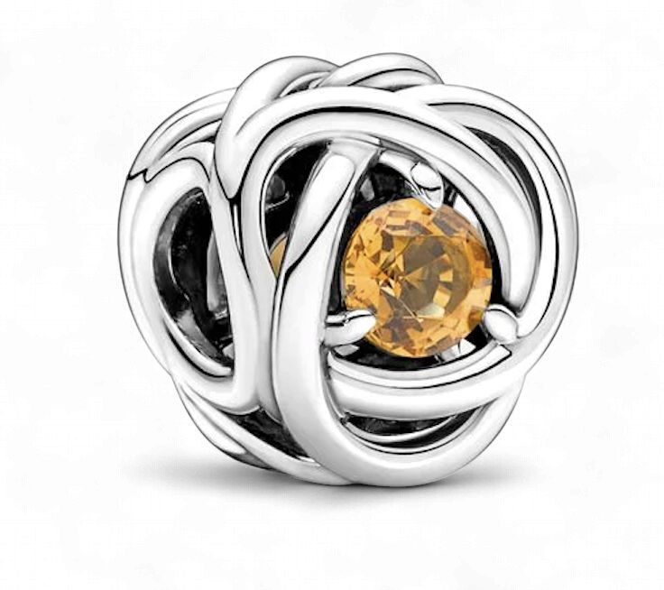 November Birthstone Eternity Circle Charm -790065C04