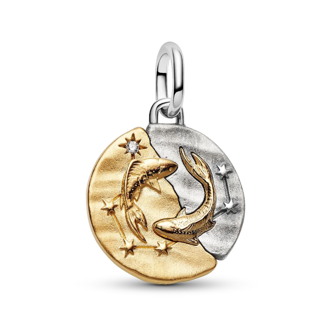 Pisces Zodiac Medallion Charm-764991C01