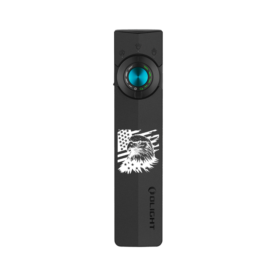 ArkPro | Long-Lasting Flat Unibody EDC Flashlight with Dual Charging and 4 Light Sources (Matte Black CW Eagle)