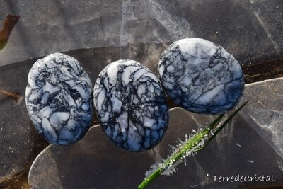 Pinolite plate