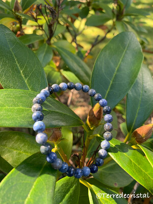 Bracelet en Dumortiérite 6mm