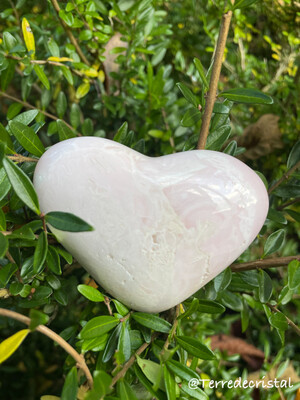 Coeur en Mangano-calcite