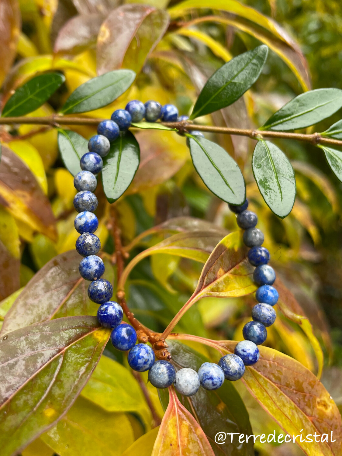 Bracelet en Lapis-Lazuli 6mm
