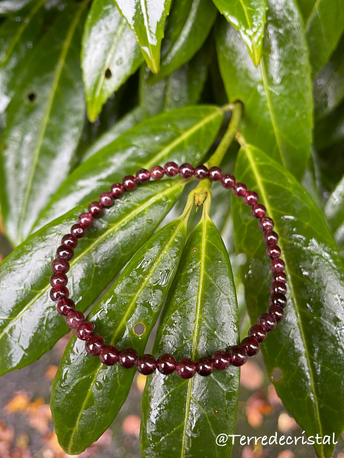 Bracelet en Grenat rouge 4 mm
