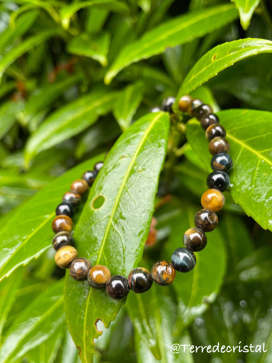 Bracelet en Oeil de faucon, tigre et taureau mix 6mm