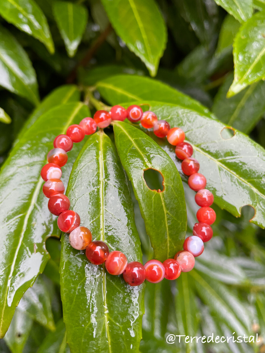 Bracelet en Cornaline 6mm