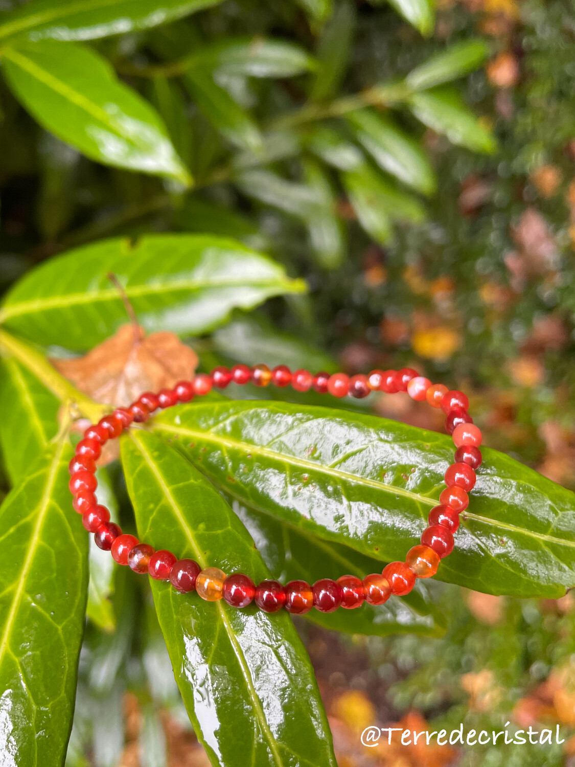 Bracelet en Cornaline 4mm