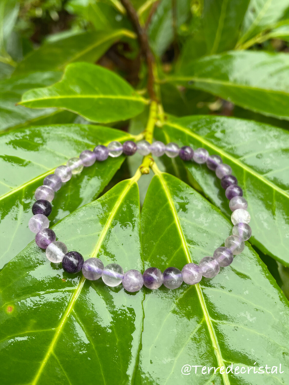 Bracelet en Fluorite violette 6 mm