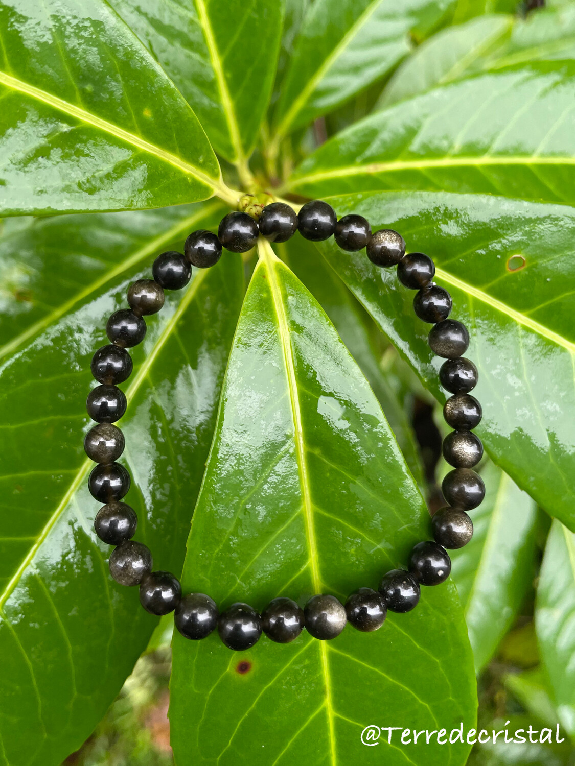 Bracelet en Obsidienne dorée 6mm