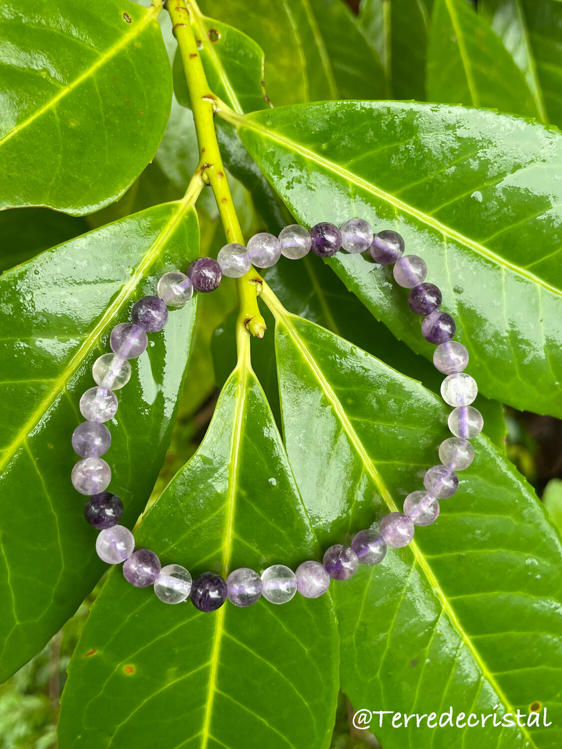 Bracelet en Fluorite violette 6mm