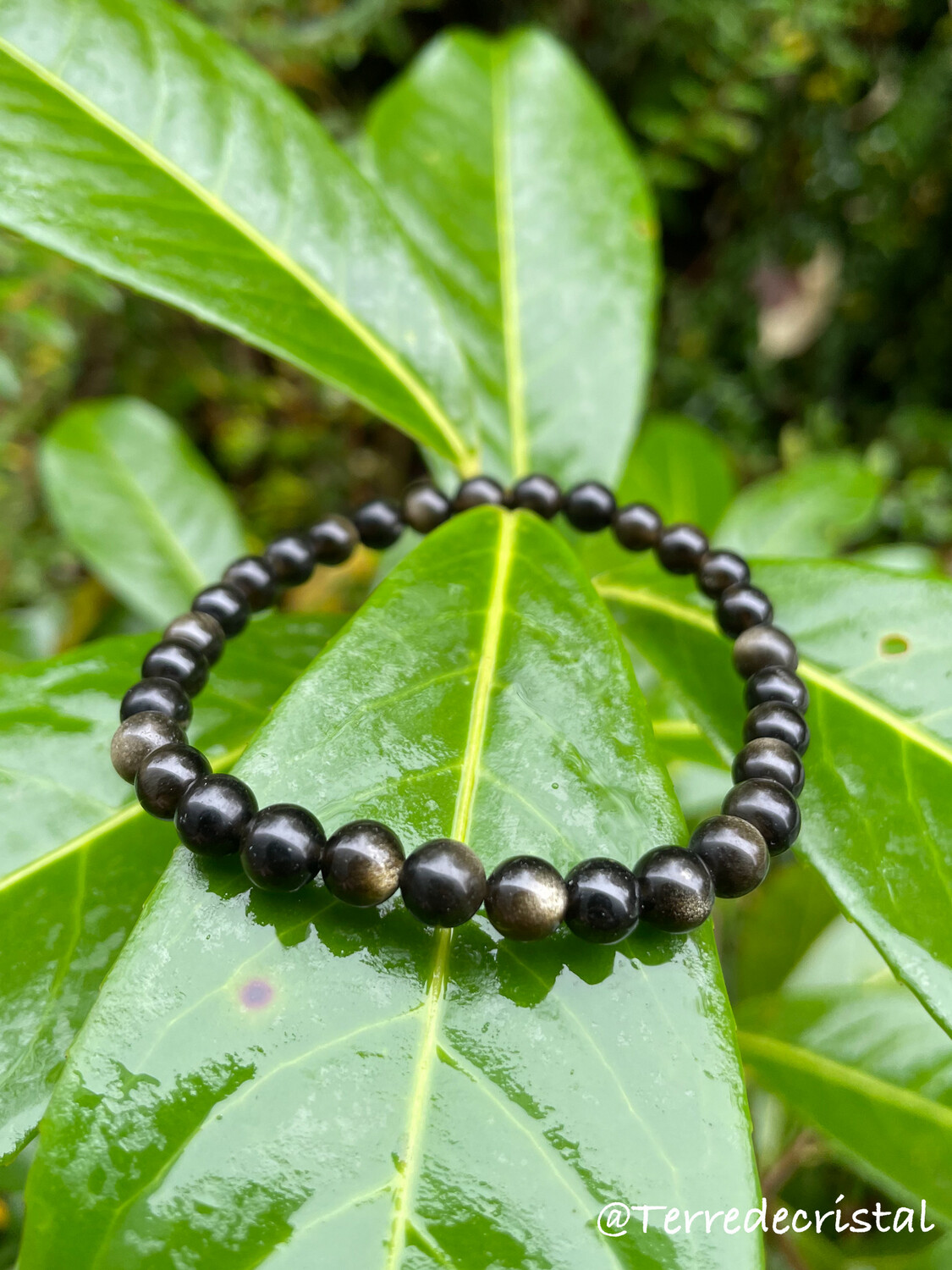 Bracelet en Obsidienne dorée 6mm