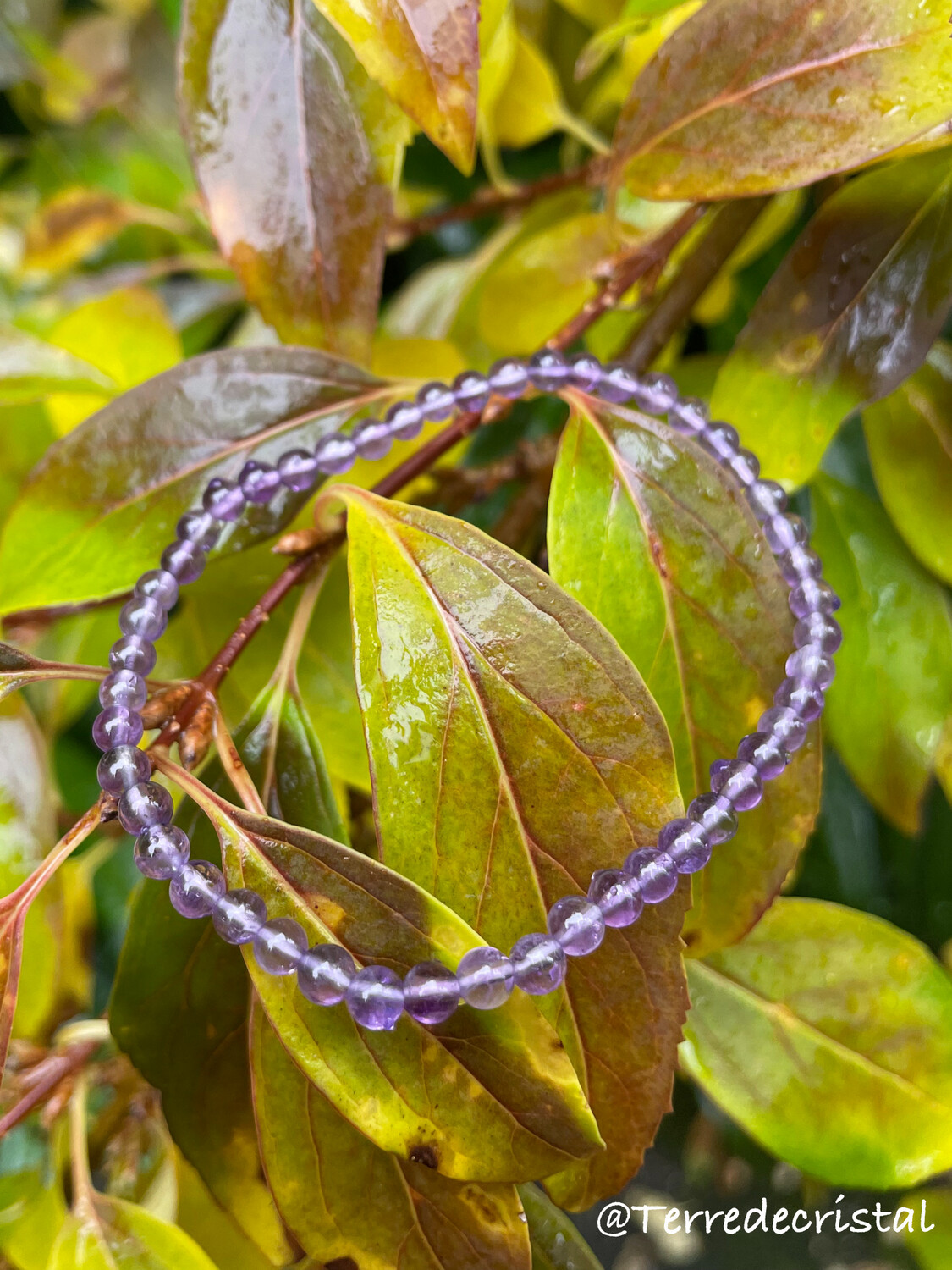Bracelet en Améthyste 4mm