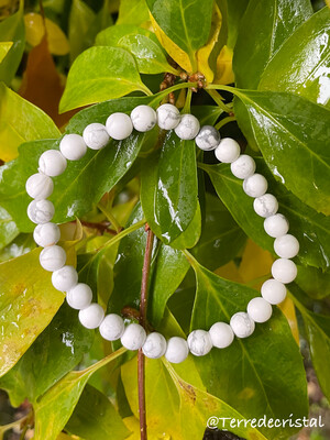 Bracelet en Howlite mate 6mm