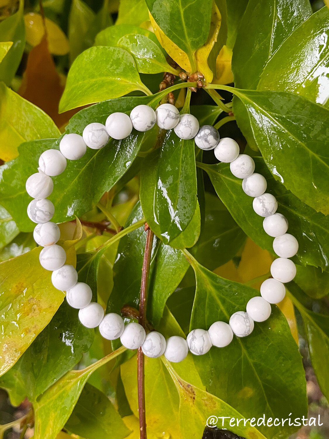 Bracelet en Howlite mate 6mm