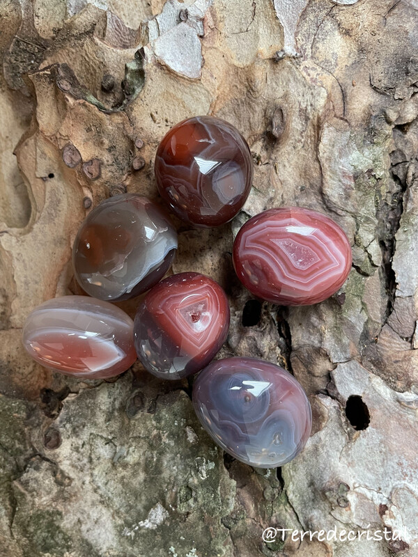 Agate du Mozambique roulée