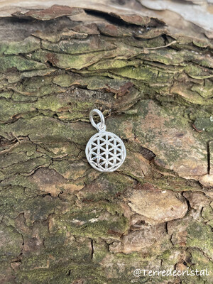 Breloque Fleur de vie en argent 925
