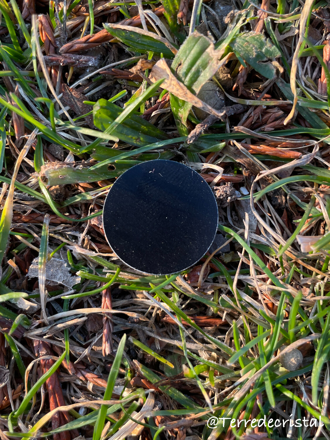 Puce Tesla ronde noire autocollante pour portable, 2 cm