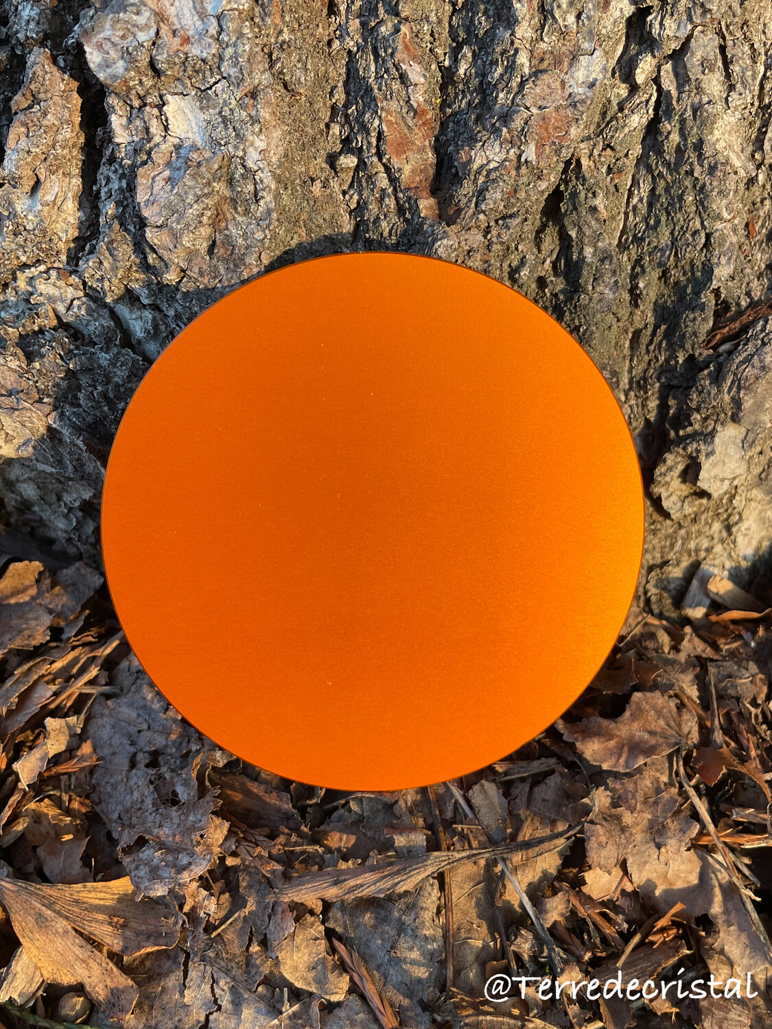 Plaque Tesla ronde orange
