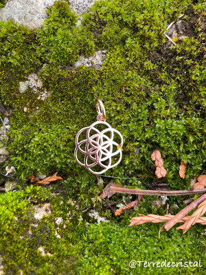 Pendentif / Breloque Graine de vie en argent 925 rosé