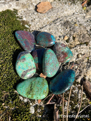 Chrysocolle plate