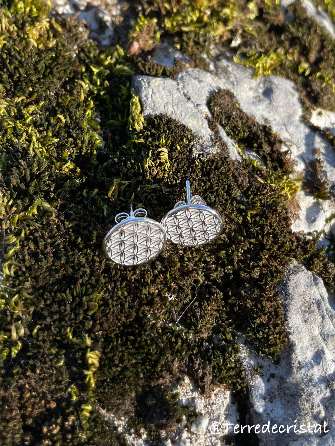 Clous d’oreilles Fleur de vie en argent 925