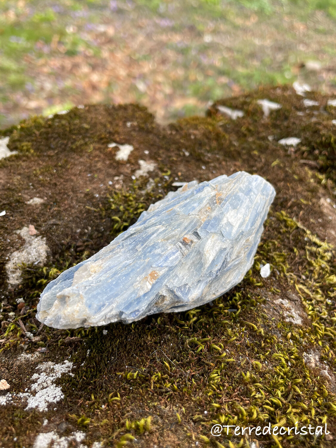 Cyanite brute à choix