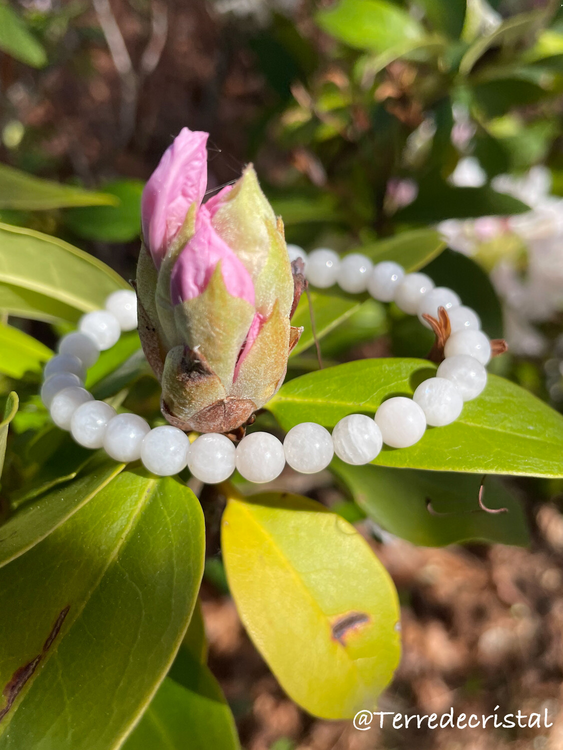 Bracelet en Pierre de lune blanche 6mm