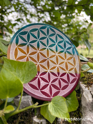 Fleur de vie ronde colorée