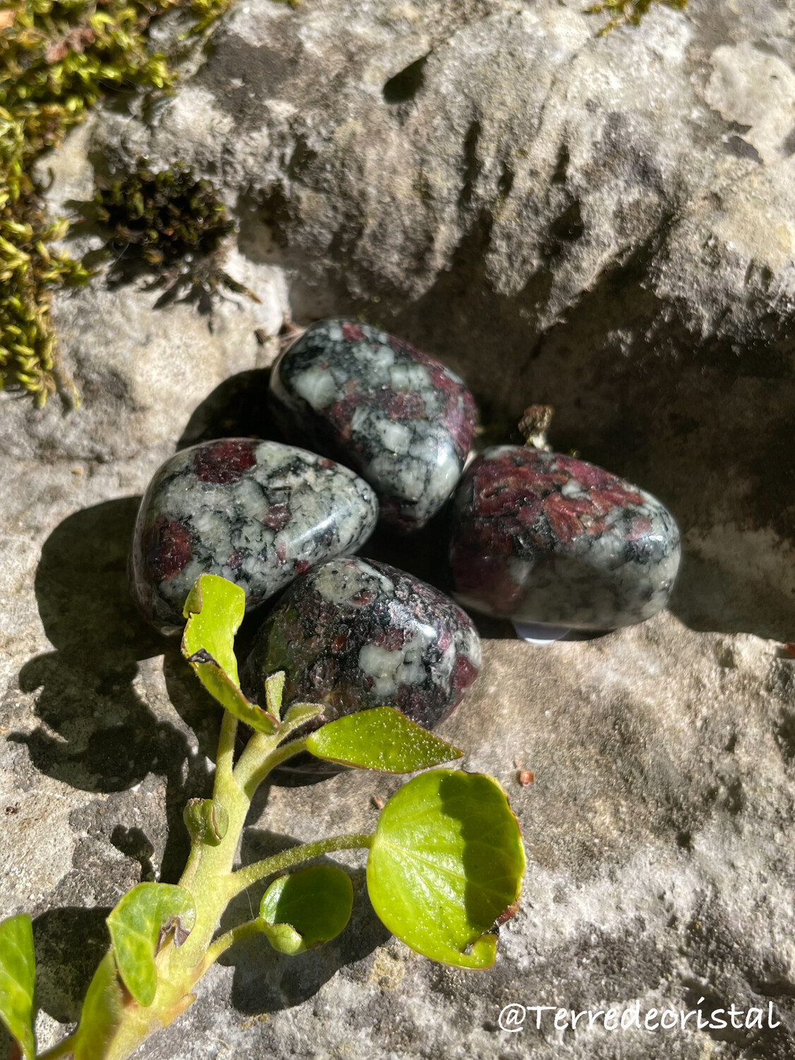 Eudialyte roulée
