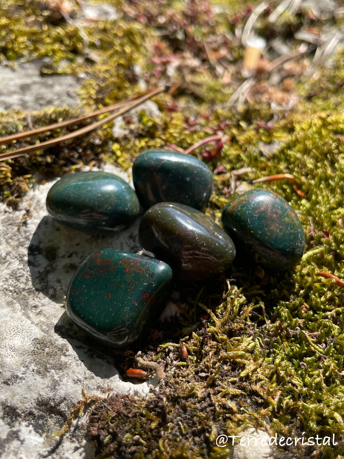 Jaspe sanguin roulé /héliotrope