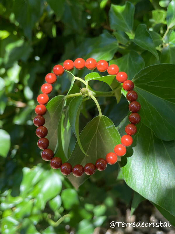 Bracelet en Jaspe rouge 6mm