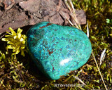 Coeur en Chrysocolle