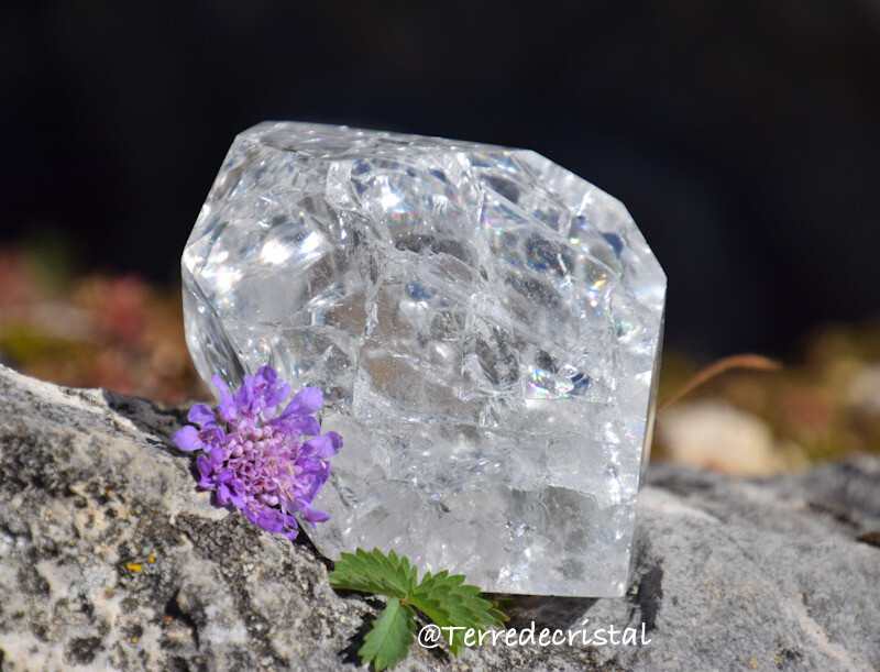Pointe de Cristal de roche craquelée "Fire and Ice"