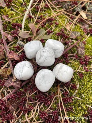 Howlite roulée