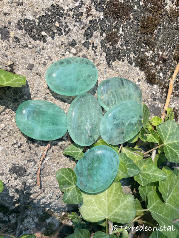 Fluorite verte plate