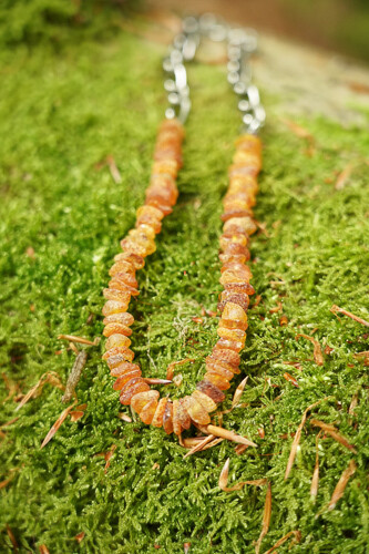 Collier d'ambre pour chien