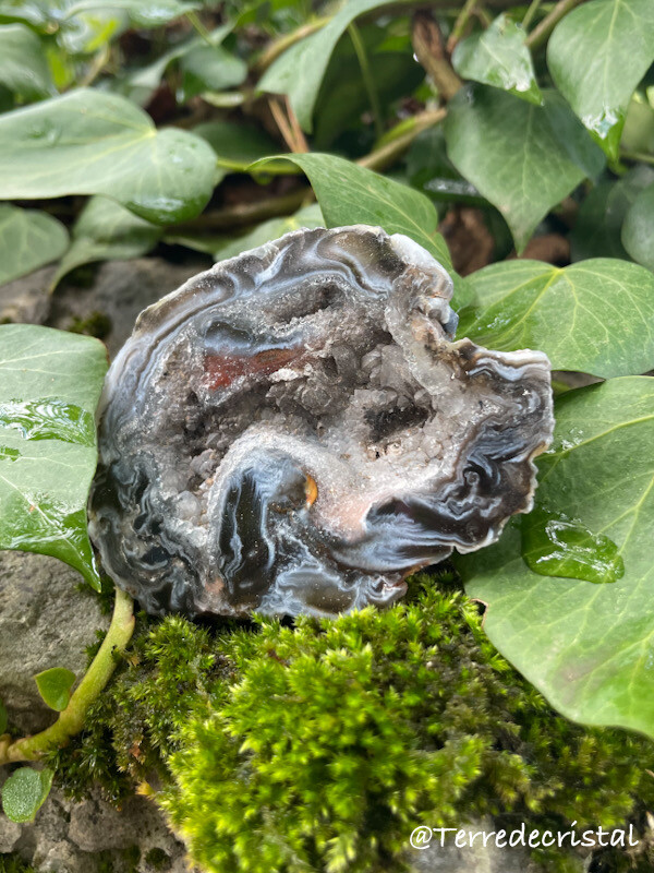 Demi géode d&#39;Agate bleue semi-brute