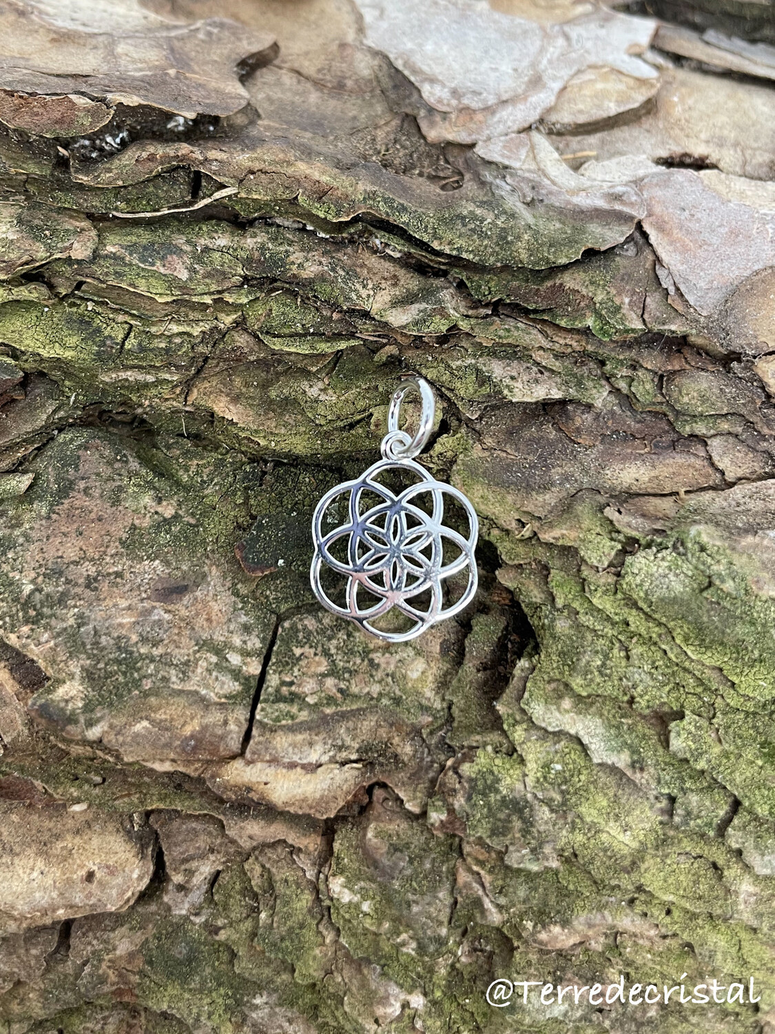 Pendentif/ Breloque Graine de vie en argent 925
